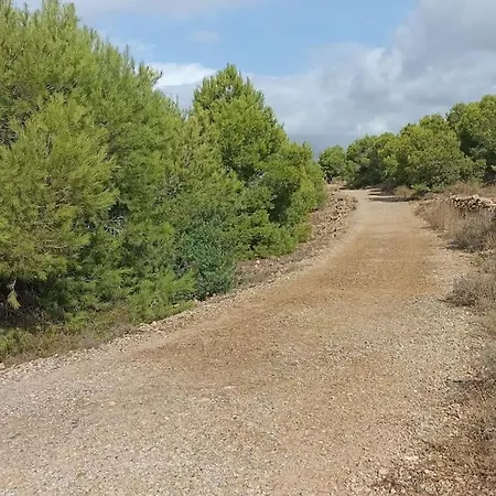Апартаменты En Primera Linea Del Mar Ареналес-дель-Соль