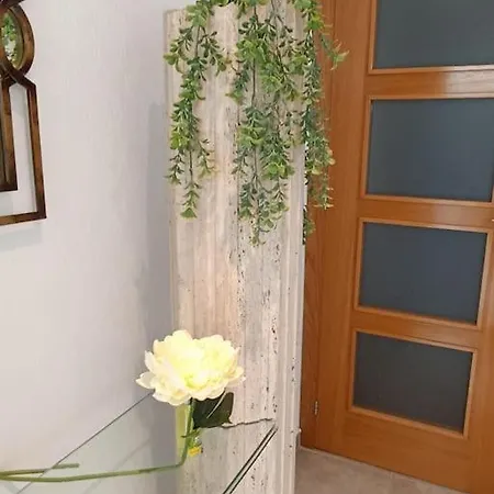 Apartment En Primera Linea Del Mar *